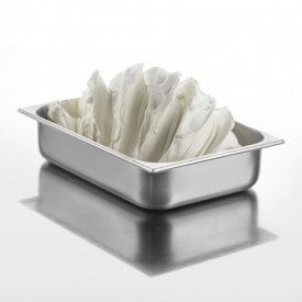 NEUTRAL TOSCHI ML PLUS | Toschi Vignola | Pack: box of 6 kg. -6 bags of 1 kg.; Product family: ice cream bases | A neutral rich 