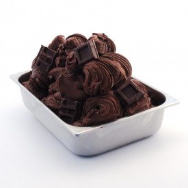 Buy BLACK CHOCOLATE BASE | Leagel | box of 14,4 kg. | A dark chocolate gelato base, to be mixed with water.