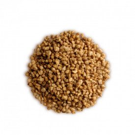 Buy CANDIED HAZELNUT GRAIN | Leagel | bag of 2 kg. | Candied hazelnut grain.