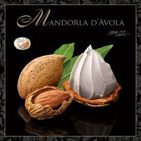 Buy AVOLA ALMOND PASTE - GOLD LINE | Leagel | bucket of 3,5 kg. | Pure almond ice cream paste from Avola - Sicily. Vegan ok Cert