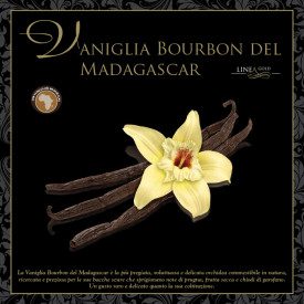 MADAGASCAR BOURBON VANILLA PASTE-GOLD LINE | Leagel | Certifications: gluten free, vegan; Pack: bucket of 3,5 kg.; Product famil