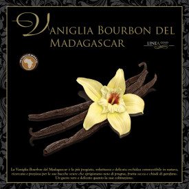 Acquista PASTA VANIGLIA BOURBON DEL MADAGASCAR - LINEA GOLD | Leagel | secchiello da 3,5 kg. | Pasta Vaniglia Bourbon del Madaga