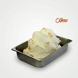 BASE EASY CHEESECAKE - 1,5 KG. | Leagel | busta da 1,5 kg. | Base pronta per gelato al gusto CHEESECAKE da lavorare con acqua. C
