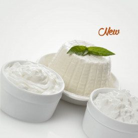 Buy RICOTTA 50 GELATO MASTER SCHOOL (POWDER) | Leagel | bag of 2 kg. | Powdered blend to prepare excellent Ricotta cheese gelato
