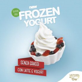 Buy BASE FROZEN YOGURT - 1,08 Kg. | Leagel | bag of 1,08 kg. | A yogurt flavor ice cream base for soft serve machine.