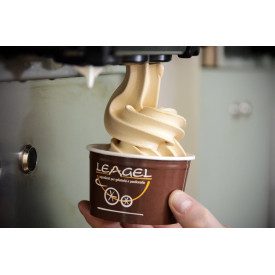 Acquista BASE SOFT YOGO SOFTEIS CON FRUTTOSIO | Leagel | busta da 2,5 kg. | Base specifica per macchina soft, gusto yogurt.