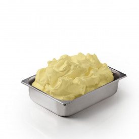 Buy ZABAJONE PASTE | Leagel | bucket of 3,5 kg. | Eggs and Marsala Wine gelato paste.