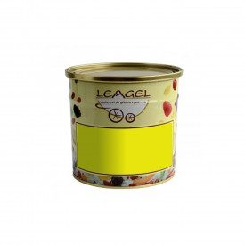 Buy ORANGE PASTE | Leagel | bucket of 3,5 kg. | Orange ice cream paste (puree).