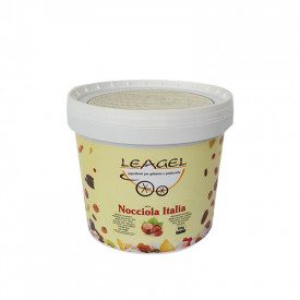 Buy ITALIAN HAZELNUT PASTE | Leagel | bucket of 5 kg. | Pure italian hazelnut ice cream paste. Delicate roasting.