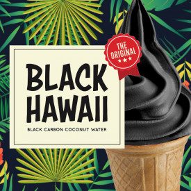 Acquista BASE SOFT BLACK HAWAII - 1,45 Kg. Rubicone | busta da 1,45 kg. | Base per macchine soft gusto Black Hawaii. Gusto cacao