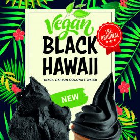 Acquista BASE SOFT BLACK HAWAII VEGAN Rubicone | Buste da 1,45 kg. | Base Black Hawaii per macchine Soft Gelato. Vegan.