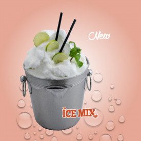 BASE ICE MIX - 1 Kg. | Leagel | bag of 1 kg. | A powder base specific for the preparation of alcoholic sorbets. Certifications: 