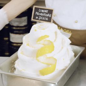 BASE LIMONE 50 | Leagel | busta da 2,5 kg. | Base per gelato al limone per utilizzo a freddo, dosaggio 35 gr/lt. Certificazioni: