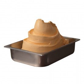 Buy BASE EASY ARANCELLO | Leagel | bag of 1,25 kg. | A complete orange gelato base, to be mixed with water.