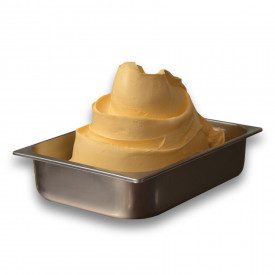Acquista BASE EASY TROPICALE | Leagel | busta da 1,25 kg. | Base pronta per gelato al gusto FRUTTI TROPICALI da lavorare con acq