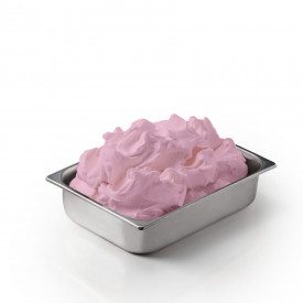 Buy BUBBLE GUM PASTE | Leagel | bucket of 3,5 kg. | BUBBLE GUM flavor concentrated ice cream paste, pink color.
