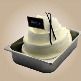 SUPREME VANILLA PASTE | Leagel | bucket of 3,5 kg. | Low-dose vanilla ice cream paste, with berries, citrus aroma. Certification