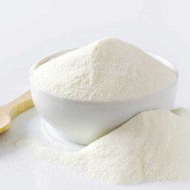 MILK SPRAY ISTANT LEAGEL | Leagel | bag of 1 kg. | Skimmed milk powder. Pack: bag of 1 kg.; Product family: ice cream bases