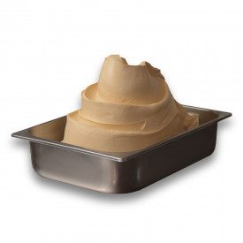 Buy APRICOT PASTE | Leagel | bucket of 3,5 kg. | Apricot ice cream paste (puree).