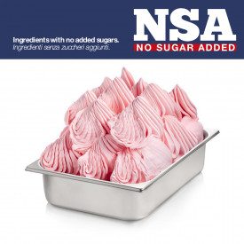 BASE FRUTTA NSA - LIGHT & LACTOSE FREE Prodotti Rubicone | scatola da 11,28 kg. - 12 buste da 0,94 kg. | Base frutta senza zucch