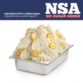 READY BANANA NSA - LIGHT & LACTOSE FREE | Rubicone | Certifications: halal, kosher, gluten free, sugar free; Pack: box of 12.5 k