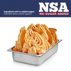 READY MELON NSA - LIGHT & MILK FREE | Rubicone | Certifications: gluten free, dairy free, vegan, sugar free; Pack: box of 11 kg.