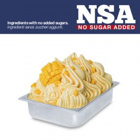 Buy online READY MANGO NSA - LIGHT & MILK FREE Rubicone | box of 11 kg. - 10 bags of 1.1 kg. | A complete base for Mango sorbet 