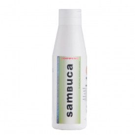 Acquista TOPPING SAMBUCA ELENKA - 1 Kg. | Elenka | bottiglia pet da 1 kg. | Crema per guarnire al gusto sambuca.