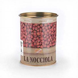 HAZELNUT P PASTE ELENKA | Elenka | Pack: buckets of 5.5 kg.; Product family: nut pastes | Pure Hazelnut paste, delicate roasting