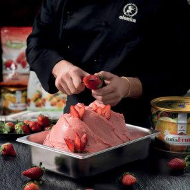 GELATO BASE CREAMFRUT ELENKA 1 KG. | Elenka | Pack: bags of 1 kg.; Product family: ice cream bases | Fruit gelato gelato base fo