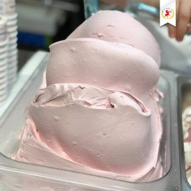 Acquista PASTA ROSE DI RIVIERA | Elenka | secchiello da 3 kg. | Pasta concentrata per la preparazione di gelati al gusto rosa.
