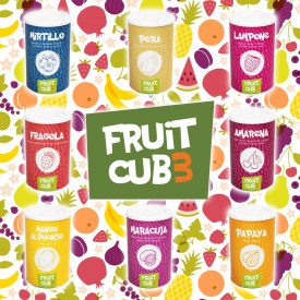 SMOOTHIES KIT - FRUITCUBE LEAGEL | Leagel | 1 kit of 10 fruitcube 1.55 kg. | Smoothies are easy: water, ice and Fruitcub3: here'