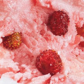 WILD STRAWBERRIES 100 FRUIT PASTE | Elenka | Pack: buckets of 3 kg.; Product family: flavoring pastes | Wild strawberries gelato