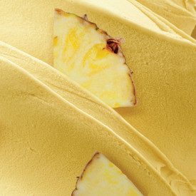 PINEAPPLE PASTE | Elenka | Pack: buckets of 3 kg.; Product family: flavoring pastes | Pasta for gelato prepared with pineapple.