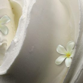JASMINE ICE CREAM PASTE PASTE 1 KG. - ELENKA | Elenka | Pack: bucket of 1 kg.; Product family: flavoring pastes | Sicilian speci