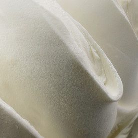 Buy WHITE VANILLA PASTE ELENKA | Elenka | buckets of 3 kg. | A vanilla-paste, white colour.