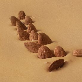 CREMINO OTELLA ALMOND | Elenka | Pack: bucket of 3 kg.; Product family: cream ripples | Almond Cream for the preparation of the 