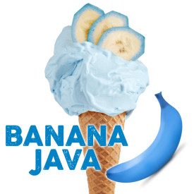 BANANA JAVA READY SOFT BASE - 1,45 KG. N671 | Certifications: gluten free, vegan; Pack: bags of 1.45 kg.; Product family: ice cr