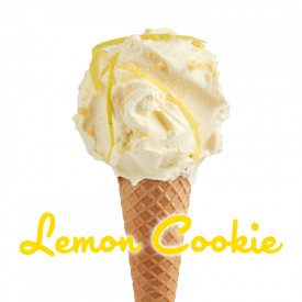 LEMON COOKIE GELATO PASTE | Rubicone | Certifications: gluten free; Pack: box of 6 kg. - 2 cans of 3 kg.; Product family: flavor