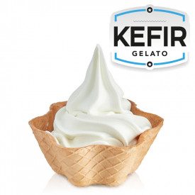 Buy KEFIR SOFT BASE Rubicone | box of 13.6 kg. - 8 bags of 1.7 kg. | Complete premix in powder for making Soft-serve gelato with