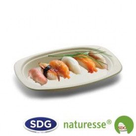Gelq.it | Buy online CELLULOSE PULP OVAL PLATE SMALL Scatolificio del Garda | box of 500 pieces. | Cellulose pulo oval plate, 23