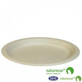 Gelq.it | Buy online OVAL PLATE BIO NATURE 26x19CM Scatolificio del Garda | box of 500 pieces. | Oval plate in cellulose pulp NA