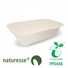 1000 ML BIO GELATO CONTAINER - CELLULOSE PULP WITH LID | SDG | Certifications: bio; Pack: pieces per box: 250; Product family: t