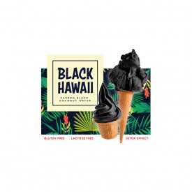 BLACK HAWAII - 1.45 KG. SINGLE PACK | Rubicone | Pack: 1 bag of 1.45 kg. | The famous black gelato, coconut and cocoa beans flav