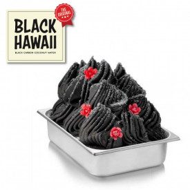 BLACK HAWAII - 1.45 KG. SINGLE PACK | Rubicone | Pack: 1 bag of 1.45 kg. | The famous black gelato, coconut and cocoa beans flav