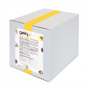 BASE ALTA QUALITA' Q200 PREMIUM GELQ - 2,5 Kg. Gelq Ingredients | busta da 2,5 kg. | Base gelato premium alta qualità da 200 g/l