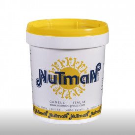 Nutman | Buy online SALTED CARAMEL CREAM | buckets of 3 kg. | Ripple cream flavored with salted caramel.