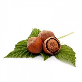 Nutman | Buy online HAZELNUT COVERING | bucket of 3 kg. | Hazelnut covering for ice cream on a stick and single portions.