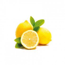 Nutman | Acquista COPERTURA LIMONE | secchiello da 3 kg. | Copertura gialla limone per gelati su stecco e monoporzioni.
