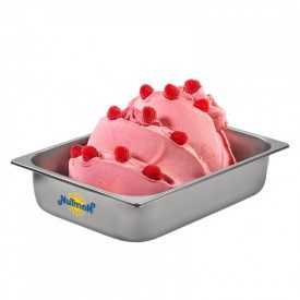 FRUIT+ RASPBERRY FRUIT PUREE | Nutman | Pack: bucket of 5 kg.; Product family: flavoring pastes | Fruit paste with more than 60%